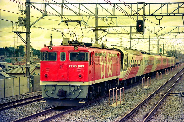 EF651019 ѡץ쥹쥤ܡ 滳