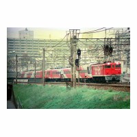 EF651019 ѡץ쥹쥤ܡ Į-