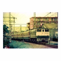EF651025 Ĥ -Į
