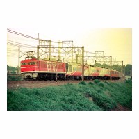 EF8195 ѡץ쥹쥤ܡ Į-