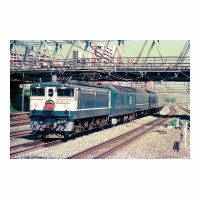 EF651017 ܤ 
