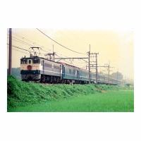 EF651020 ܤ4 -ϡ
