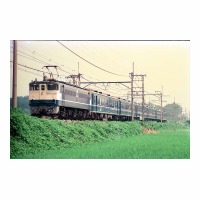 EF651028 Ȭ84 -ϡ