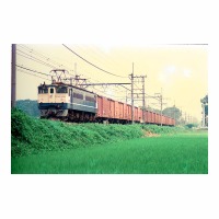 EF651039 -ϡ