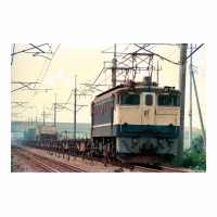 EF651085 -ϡ