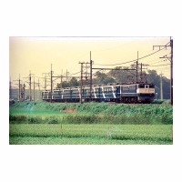 EF651115  ʤ䤫 -ϡ