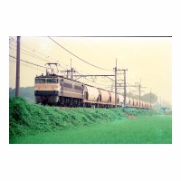 EF65513 -ϡ