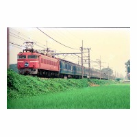 EF8118 6 -ϡ