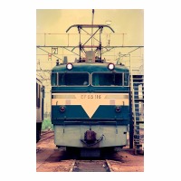 EF65116 ḫض
