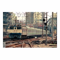 EF651063 205 ü͢ 