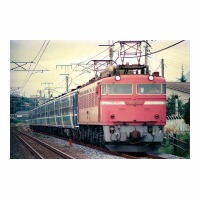 EF8157  ʤ䤫 -ƣ