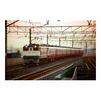 EF651029 󥨥ץ쥹 ͭ