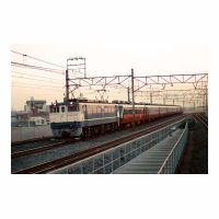 EF651029 󥨥ץ쥹 ͭ