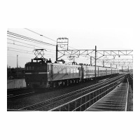 EF8156 81ϥߥȺ ͭ
