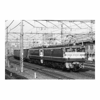 EF65519 