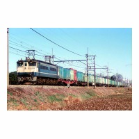 EF651097 -ϡ