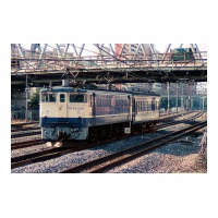 EF651023 ޥ34 