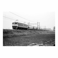 EF651049 -ϡ