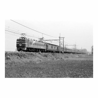 EF8187 4 -ϡ