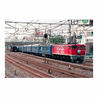EF651019  ë