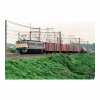 EF65514 Į-