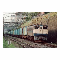EF651081 ܹ- ĹԴƧ