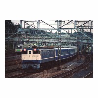 EF651030 ŷ ë-Τ