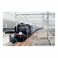 D51498 SL˥  