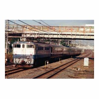 EF651026  ̾