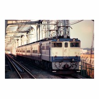 EF651026  
