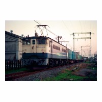 EF651031 -Į