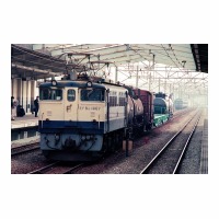 EF651007 ή