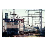 EF651028  ʤ䤫  Į