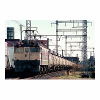 EF651041  Į