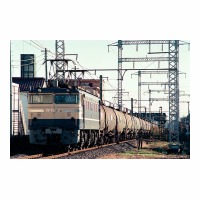EF65526  Į