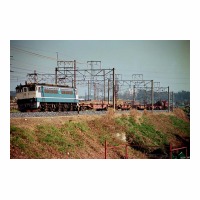 EF651086 Į-