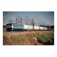EF651098 Į-