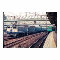 EF651028 ȥޥॹ  Τ