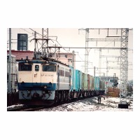 EF651045 -Į