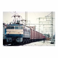 EF65516 -Į