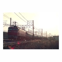 EF8189 󥨥ץ쥹 Į-