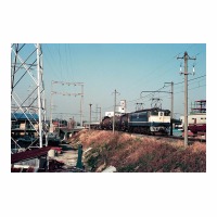 EF651042 -Į