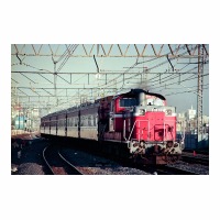 DD51897 81 ߥȺ դ줢 