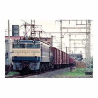 EF65513 -Į