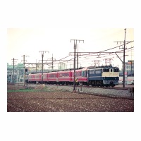 EF651102 ѥΥޥ饤ʡ󥯥 EF651106 ̾-