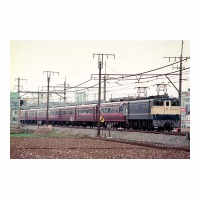 EF651114 󥨥ץ쥹 ̾-