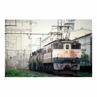 EF651039 -Į