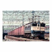 EF651081 ַ