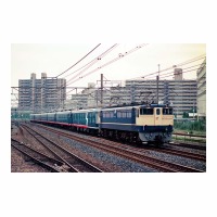EF651113  ʺ 