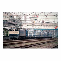 EF651118 ʤ䤫  